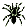 DrWeB